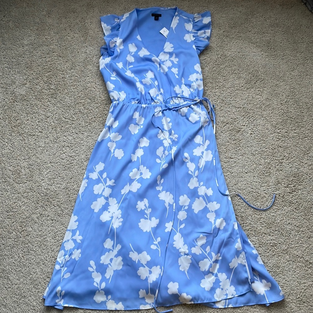 ANN TAYLOR dress
